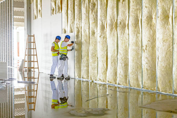 Best Insulation Removal  in Ordway, CO